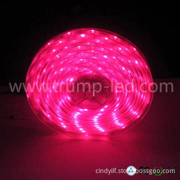 low price flexible led 12v car lighting strip light china